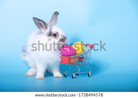 The adorable white rabbit with colored Easter eggs in shopping cart on light blue background. Easter holiday concept.