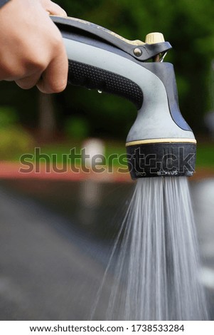 Watering garden flowers with a hose spray