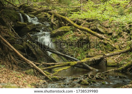 mountain river in the spring forest in the Czech Republic