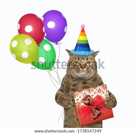 The beige cat in a birthday hat is holding a red gift box and multi-colored balloons. White background. Isolated.