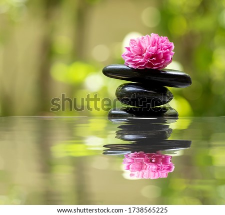 
Fresh Damask rose is placed on a black stone and on a natural background. (Reflection)