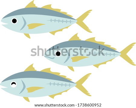 Illustration of three horse mackerel