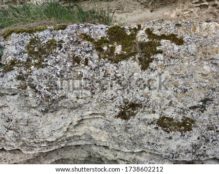 Big gray stone with brown moss. Against the background of green grass.
