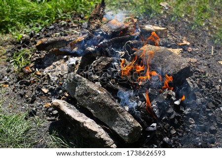 a large photo of a bonfire in the forest