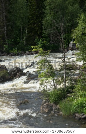 Big waterfall on the Olanga river on the boarder of Finland and Russia names Kivakkokoski. Biggest waterfall in Karelia situated in Paanajarvi National Park. Unique preserve nature