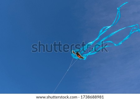 smiling kite flying in the air