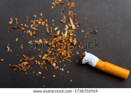 31 May of World No Tobacco Day, no smoking, close up of broken pile cigarette or tobacco STOP symbolic on black background with copy space, and Warning lung health concept