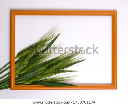 Orange wooden picture frame decorated with green wheat heads on white background.