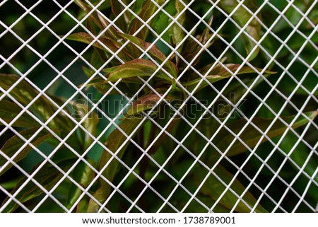 Background grid with leaves 3D