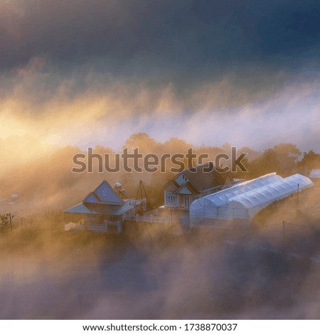 a colorful morning at summer with bright light and magic fog cover small farm in valley at sunrise