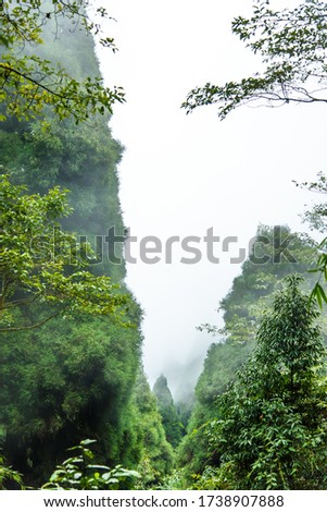 The gathering of clouds in nature in the greenery of the National Park, the clouds over the trees in the Himalayan mountains. Royalty-Free Stock Photo #1738907888