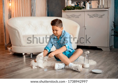 A beautiful boy in blue clothes is playing with white little kittens. A boy in blue clothes feeds small kittens from a bottle with a pacifier.