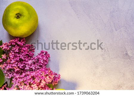 Pink lilac flowers on white background. Top view, copy space. Holiday concept. Spring background.