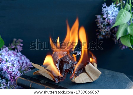 the book is burning with flames on a dark background with lilac flowers