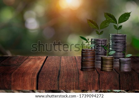 Business investment growth concept. tree piles of coins with small trees on wooden.