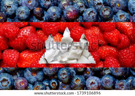 Cambodia Flag made of fresh and colorful sliced fruits