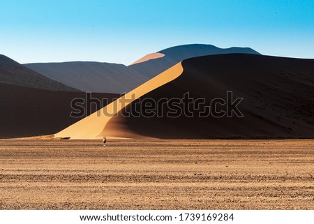 A beautiful picture of Namib National Park dunes and oryx against brown sand mountains - Perfect wallpaper for desktop