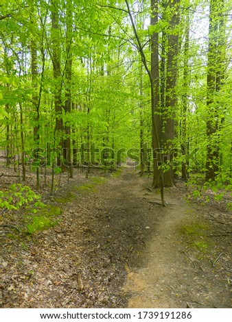 Trail curving through a forest during spring at Blockhouse Point Conservation Park in Potomac, Maryland. Royalty-Free Stock Photo #1739191286