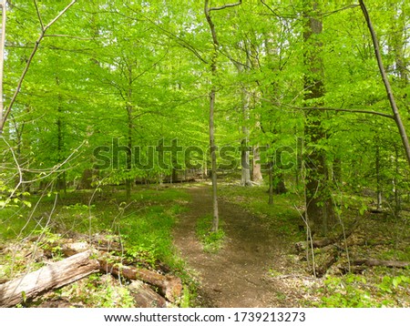 Trail curving through a forest during spring at Blockhouse Point Conservation Park in Potomac, Maryland. Royalty-Free Stock Photo #1739213273