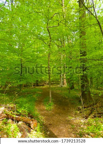Trail curving through a forest during spring at Blockhouse Point Conservation Park in Potomac, Maryland. Royalty-Free Stock Photo #1739213528