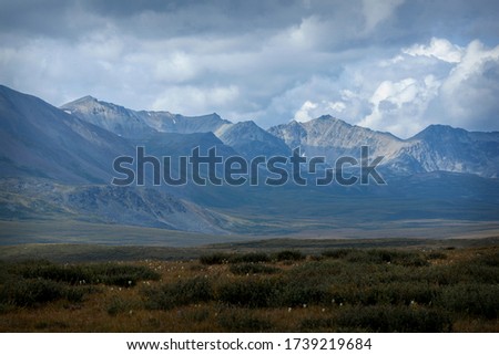Natural spacious landscape surrounded by dense blue clouds, majestic mountains and wild flowers.