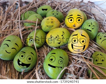 A nest of happy and crazy faces of mangoes the king of fruits and also the king of mangoes Alphonso Mangoes
