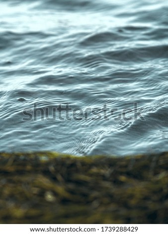 abstract sea photography, blue sea. copy space