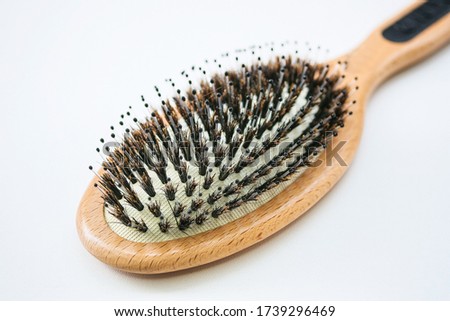 Boar Hair Bristle Brush. comb Royalty-Free Stock Photo #1739296469