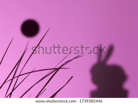 Hare silhouette  on purple background
