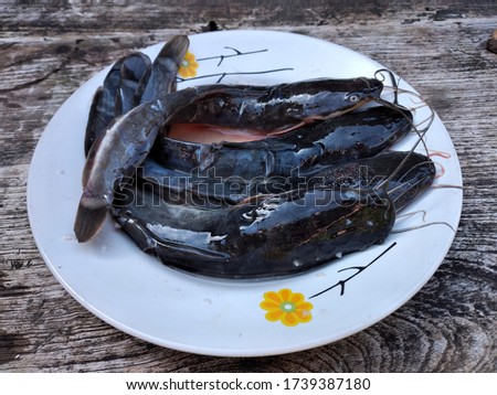 Fresh catfish on a plate. Isolated on wood background. Catfish as food ingredients. Raw and healthy food concept. Royalty-Free Stock Photo #1739387180