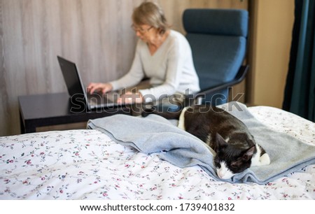 elderly woman using laptop cat sleeping on bed