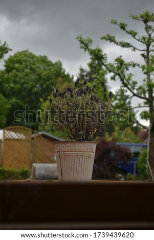 A flower pot on a table in the garden.