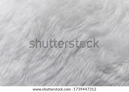 Picture of white sheepskin fur texture background