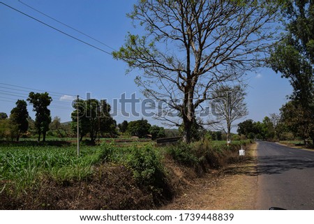 Side view of an agricultural field in india