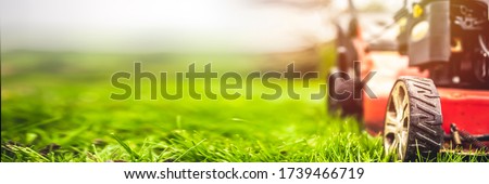 Lawn mower cut grass. Garden work. Electric Rotary lawn mower machine Royalty-Free Stock Photo #1739466719