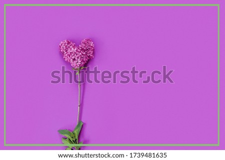 Twigs of purple lilac in the form of heart on violet paper background for Valentine's Day. 
Flat lay, top view, copy space concept.