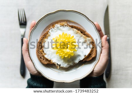 Conceptual image of having breakfast with fried egg and toast. Hands serving white plate with yellow chrysanthemum flower instead of yolk
