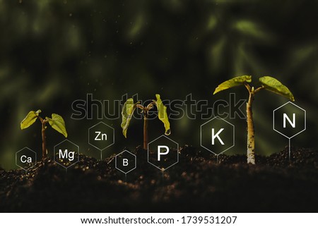 Seedlings are exuberant from abundant loamy soils. Development and  role of nutrients in plant life with digital mineral nutrients icon.  Royalty-Free Stock Photo #1739531207