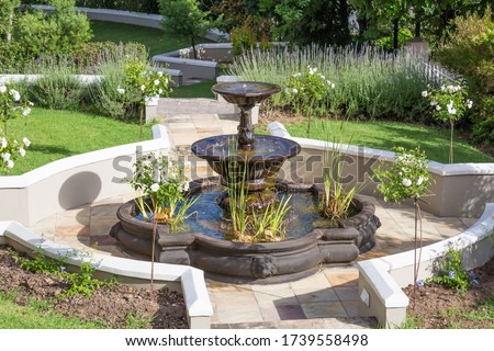 Beautiful garden fountain with topiary roses around and lavender in the background