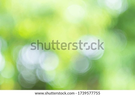 Green bokeh light nature from tree and sky background is a shiny naturally occurring shadow that is not clear but beautiful.