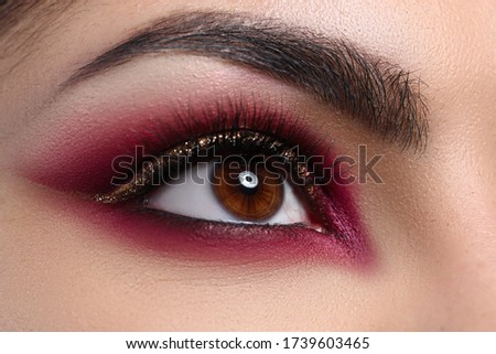 Close-up beautiful female eye decorated with makeup. Quarantine makeup training. Make-up option that is created for special occasion. Fashionable eye for events or for photo shoots