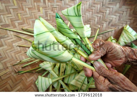Not in focus. Motion blur. Camera shake. Noise reduction. Grain. Handcraft Palas leaves or locally known as Daun Palas for Hari Raya Celebrations
