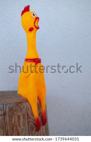 image of toy rubber chicken 