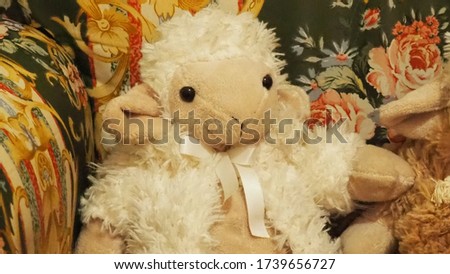 Sheep on doll sitting on magic chair