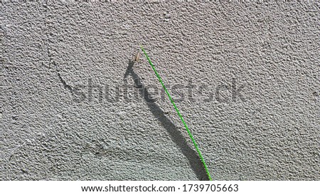 Old concrete wall, natural texture. Light background. The shadows.