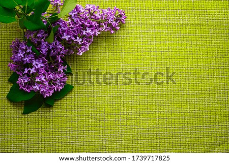 Background picture. Green-yellow wicker base, a sprig of blooming lilac in the corner of the image. The frame is photographed from above. Abstraction. Flatlay