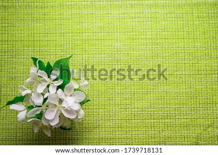 Background picture. Green-yellow wicker base, apple tree flowers in the corner of the image. The frame is photographed from above. Abstraction. Flatlay