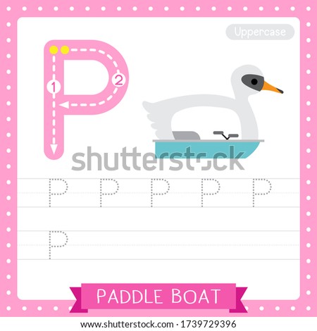 Letter P uppercase cute children colorful transportations ABC alphabet tracing practice worksheet of Paddle Boat for kids learning English vocabulary and handwriting Vector Illustration.
