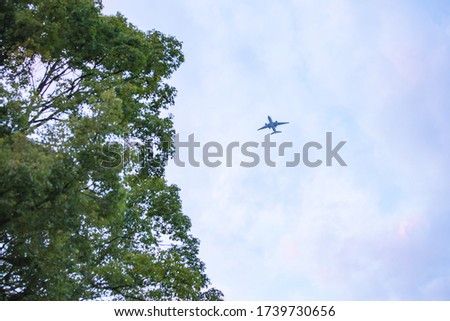 Background blur The black silhouette   of the plane in high angle is a distant image with dim light. in the evening time near dusk, light, blue background and beautiful dry trees. Vintage cool colors.