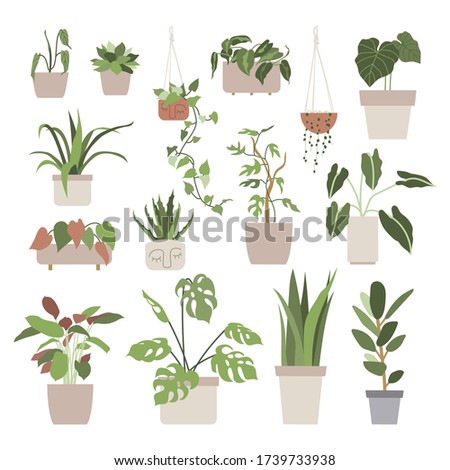 Set with house plants in flower pots. Urban jungle, home gardening. Hand drawn vector illustration in flat cartoon style. Perfect for poster, sticker, print, card Royalty-Free Stock Photo #1739733938